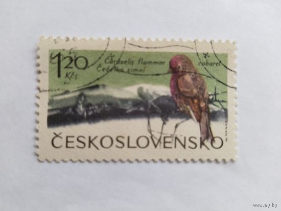 ЧССР  1965