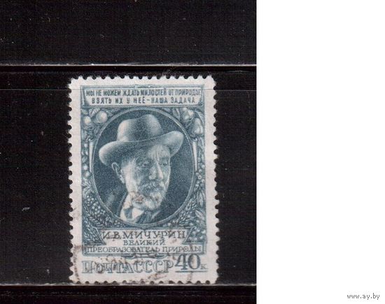 СССР-1949, (Заг.1314),  гаш. , И.Мичурин