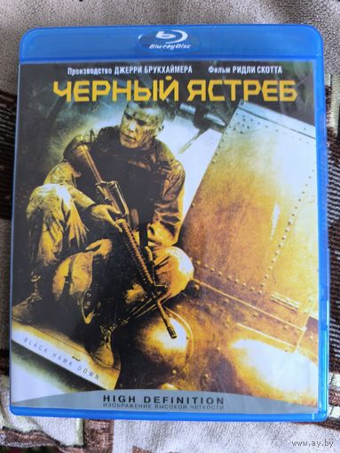 Чёрный ястреб