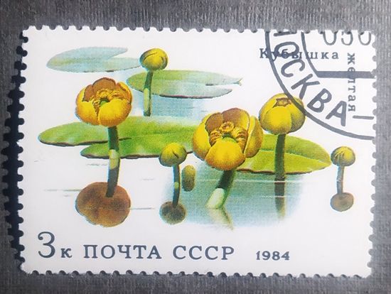 Марка СССР 1984 год Водные растения