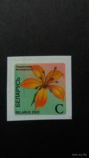 РБ 2002 1м