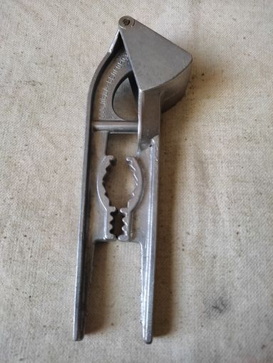 Чесночница, Россия, Белгород. См. описание.