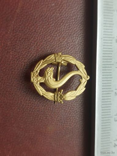 Значок плавание швеция