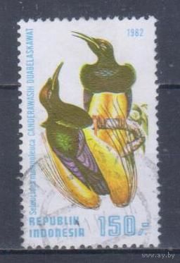[385] Индонезия 1982. Фауна.Райские птицы. Гашеная марка.