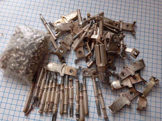 Посеребренка