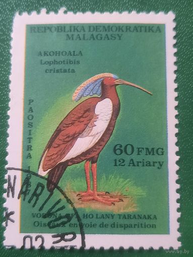 Мадагаскар 1987. Фауна. Птицы. Lobhotibis cristata.  Марка из серии