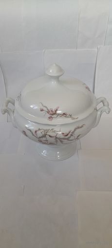 СУПНИЦА ЦАРСКАЯ, КУЗНЕЦОВА. ЦВЕТЫ.ОГРОМНАЯ,РЕДКОСТЬ!