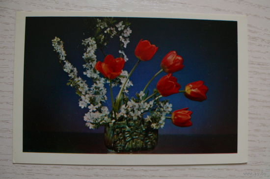Шамшин К., Поздравляем! 1976, подписана (размер 9*14).