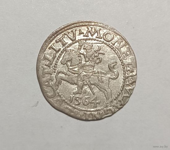 Паўгрошы Жыгiмонта II. 1564, Вильно. Хороший, с блеском