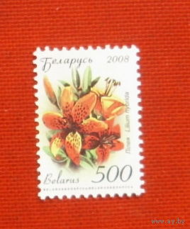 Беларусь. Стандарт. ( 1 марка ) 2008 года. 2-1.