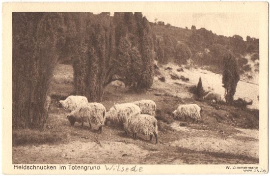 Открытка старинная