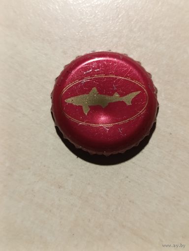 Пивные крышки - пробки