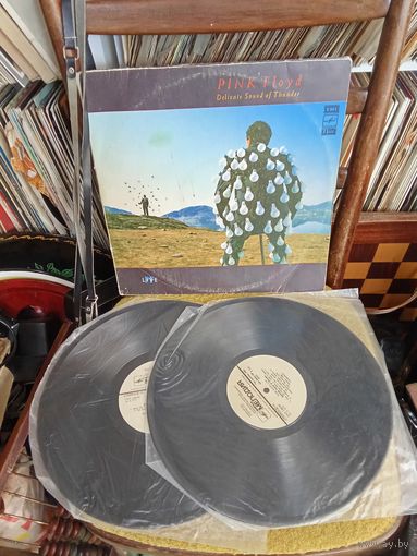 Pink Floyd Delicate Sound of Thunder 2LP Двойник Виниловая пластинка