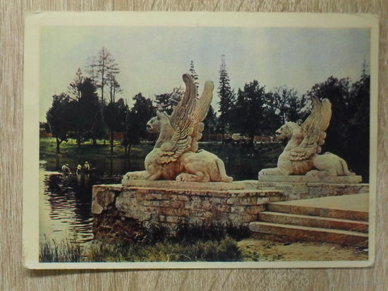 ЧИСТАЯ ОТКРЫТКА СССР. "МАРФИНО. ГРИФОНЫ НА ПРИСТАНИ." 1956 год.