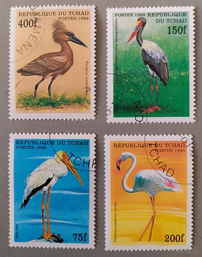 Птицы. Чад, 1998