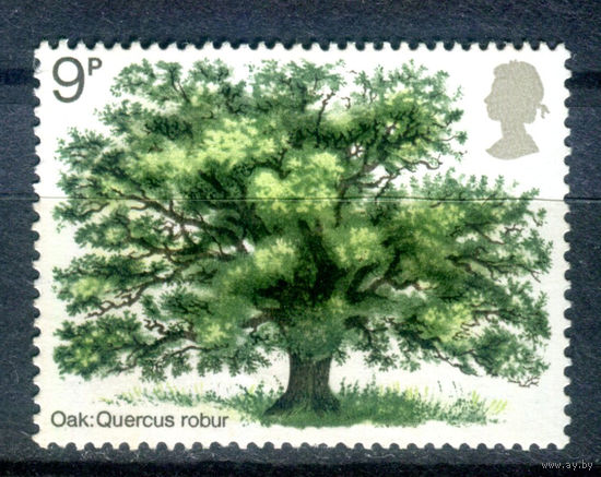 Великобритания - 1973г. - год цветущих растений, британские деревья - 1 марка - полная серия, MNH [Mi 615]. #3-GB-Z-1-21