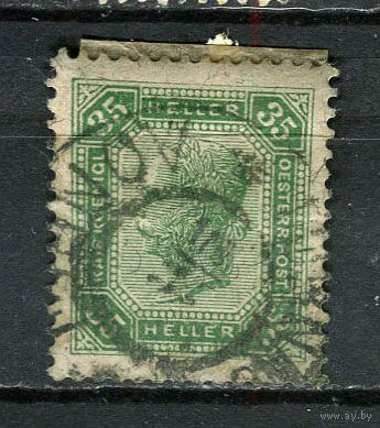 Австро-Венгрия - 1905 - Император Франц Иосиф - 35H - [Mi.128] - 1 марка. Гашеная.  (Лот 11Ft)-T25P30