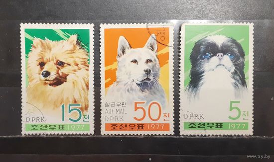 Корея. 1977 год. Фауна. Собаки (1321)