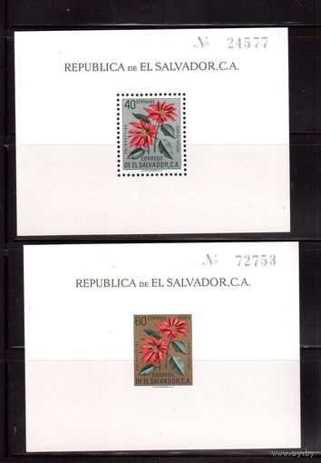 Сальвадор-1960, (Мих.Бл.6-7)  * (сл. от накл.), Флора, Цветы
