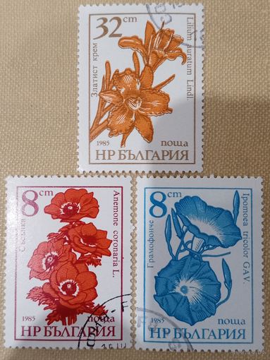 Болгария 1985. Флора. Цветы