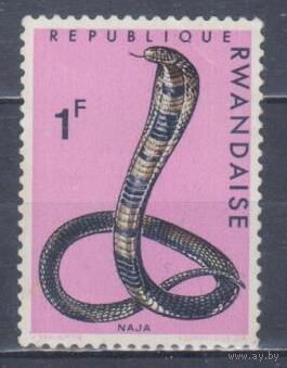 [136] Руанда 1967. Фауна.Рептилии.Змеи.Кобра. MNH