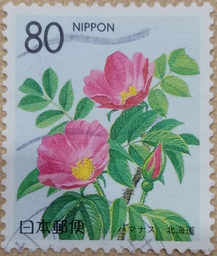 Япония. Флора. Цветы