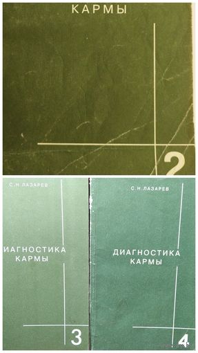 С. Лазарев  Диагностика кармы. Книги 2, 3 и 4