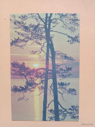 Открытка 1985