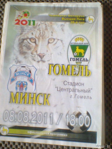 08.08.2011--ФК Гомель--ФК Минск