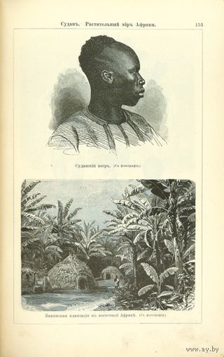 Альбом картин по географии внеевропейских стран. СПб. Просвещение 1899г. 254с. Твердый, но не родной переплет. С 314 резанными на дереве рисунками / вступ. Ст. А. Гейстбека. Пер. с нем. А.П. Нечаева.