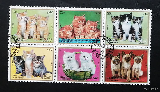 ОАЭ Шарджа 1972 г. Кошки. Коты. Фауна. Сцепка, полная серия #0158-Ф1P30