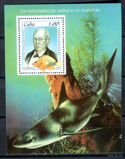Куба - 1999г. - Рыбки - полная серия, MNH, есть маленькое пятнышко на лицевой стороне [Mi bl. 154] - 1 блок