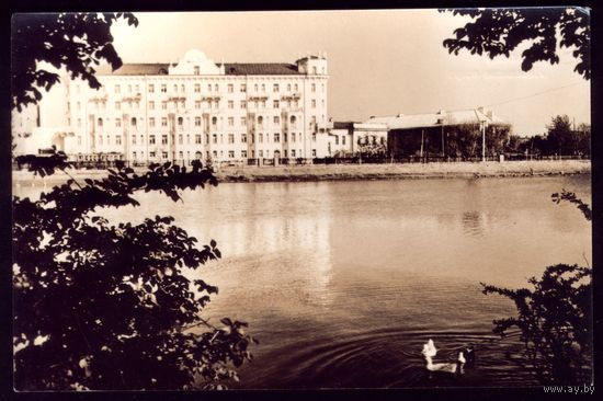 Астрахань Лебединое озеро