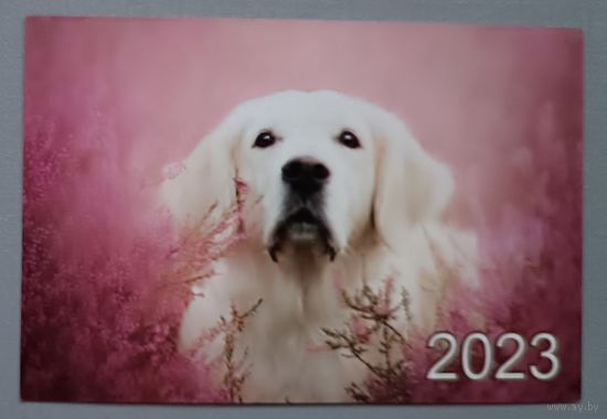 Собака. Календарик, 2023