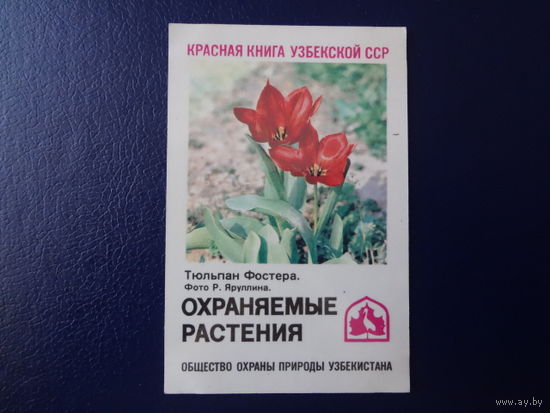 Календарик 1986 г.  Красная книга Уз.ССР.  Тюльпан Фостера.