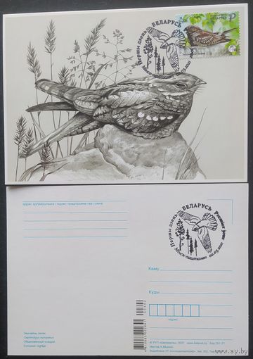 Беларусь 2021 КМ птица года, козодой обыкновенный.