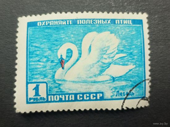 1959 СССР. Фауна СССР. Лебедь