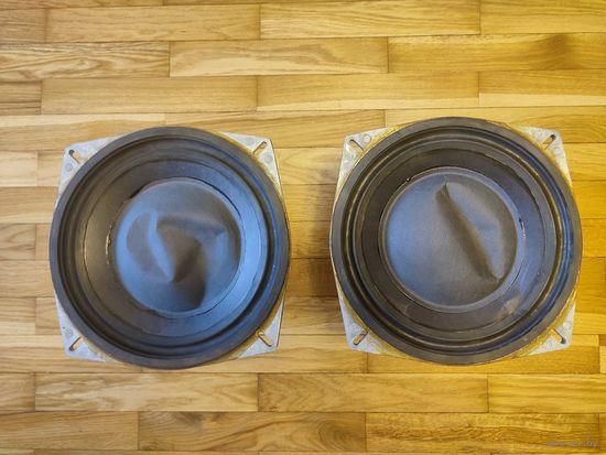 Динамики 8 ГД-1-25