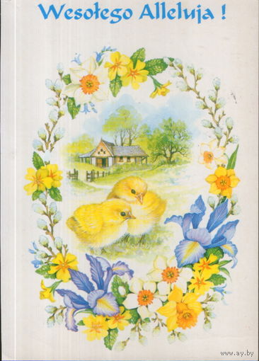 Подписанная открытка Польша "Пасха. Цыплята"