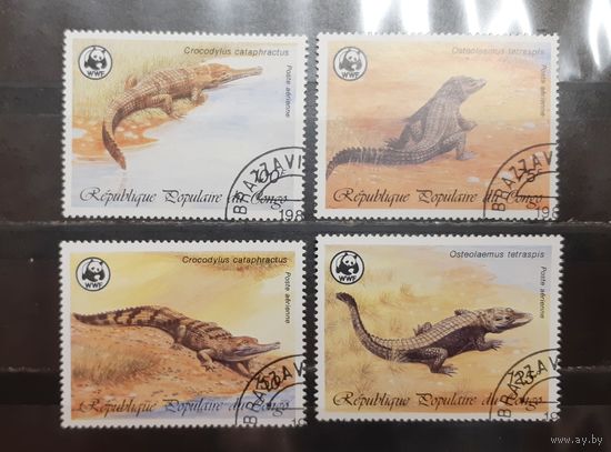 Конго. Фауна. Крокодилы (1095)