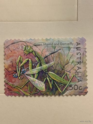 Австралия 2003. Фауна. Богомол