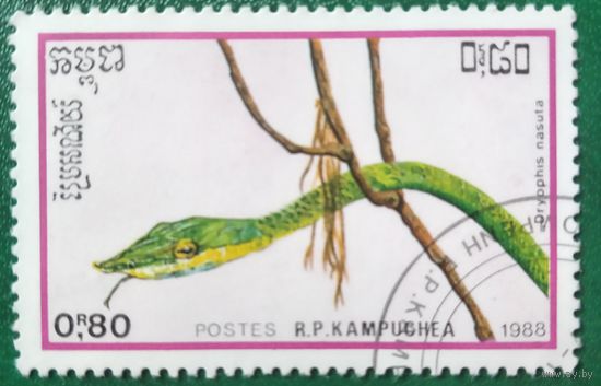 Кампучия 1988. Фауна. Змеи. Drypphis nasuta