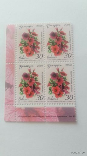 РБ  2008 к/б цветы