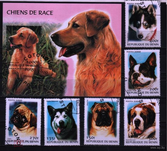 2000 Бенин фауна млекопитающие собаки Блок+6х-марок Гашеные
