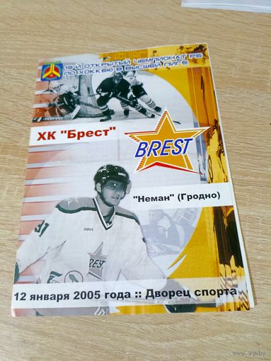 Брест - Неман(Гродно) 12.01.2005