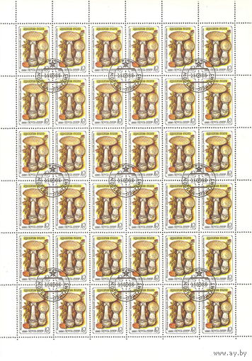 СССР. Лист 1986.Мухомор пантерный.Ядовитые грибы.Состояние отличное.ГаШ.