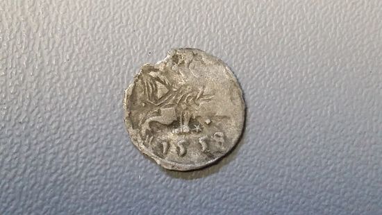 Денарий 1558