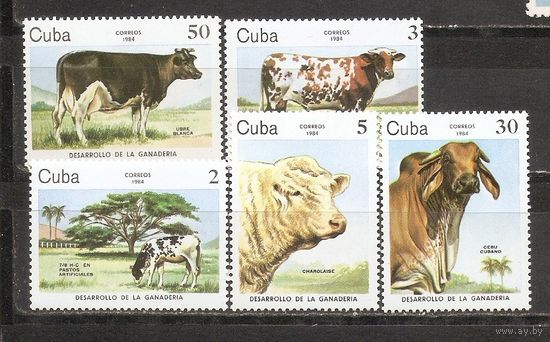 ФФ2 Куба 1984 Коровы