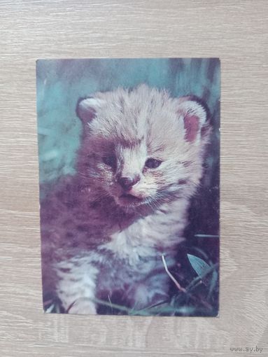 Календарик 1992