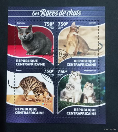 ФАУНА КОШКИ ПОРОДЫ КОШАК ЖИВОТНЫЕ     БЛОК  сто